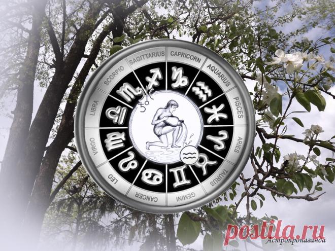 Сохраняйте верность принципам. Гороскоп для Водолея с 29 марта по 2 мая 2021 | Астропропаганда | Яндекс Дзен
♒✨ Автор: астролог Нина Стрелкова. ✧ В этот период вас могут подстерегать всевозможные соблазны. Вы привлекаете к себе многих людей, и среди них могут быть нечестные и желающие вас втянуть во что-то рискованное. Сохраняйте благоразумие и верность принципам, советуйтесь близкими людьми, которые точно желают вам добра.