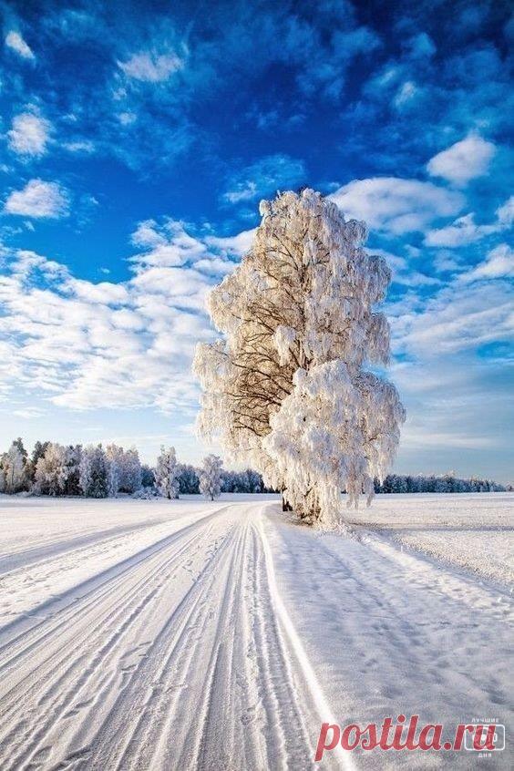 Одноклассники