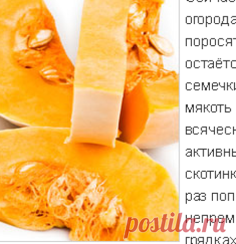 Тыква на зиму - Заготовки на зиму из тыквы