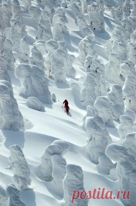 Найдено на сайте treintamasdiez.com. / Ледниковый период