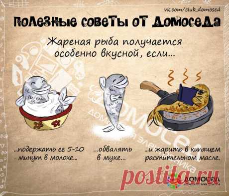 Полезные советы от Домоседа | ДОМАШНИЙ ОЧАГ