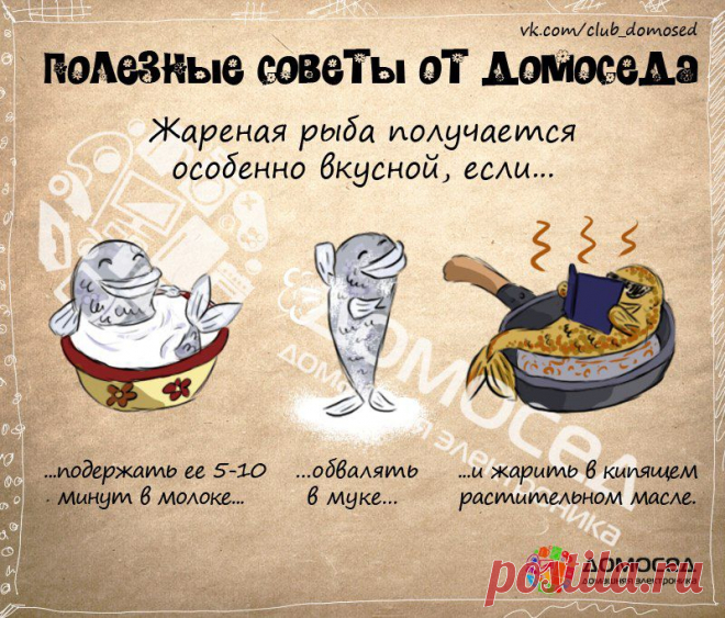 Полезные советы от Домоседа | ДОМАШНИЙ ОЧАГ