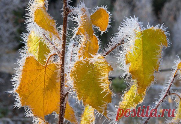 Фотографии на стене сообщества | 32 840 фотографий | ВКонтакте