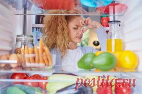 Как избавиться от запаха в холодильнике? Эффективные средства