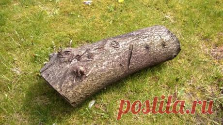 Самый надежный тайник из дерева, сделанный своими руками | Ультрамарин