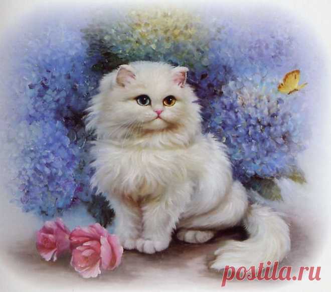 Ах,какая прелесть эти котики!!!
