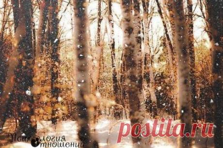 Галина Беляева