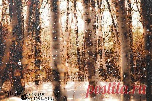 Галина Беляева