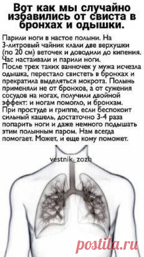 про полынь