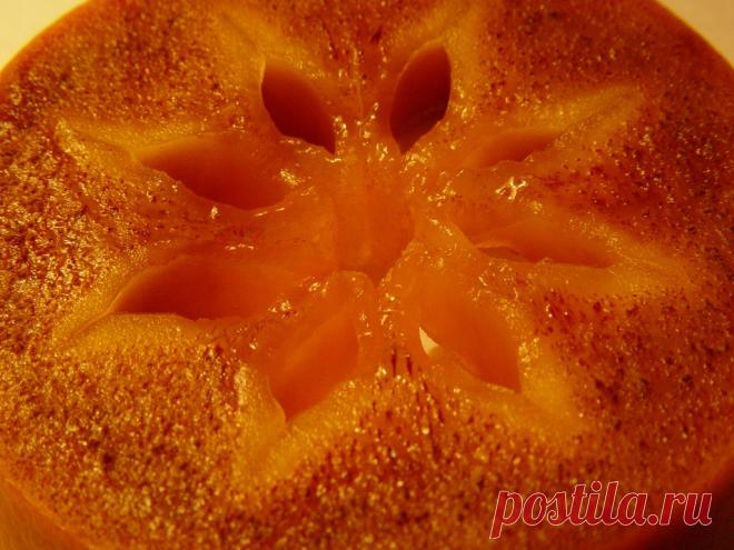 ПОЛЕЗНЫЕ ЗНАНИЯ О ХУРМЕ 