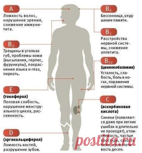 Ваш организм даст подсказку, какая подпитка ему требуется |