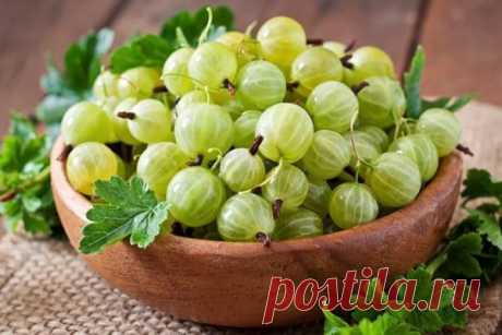 Соус из крыжовника на зиму - вкусные рецепты