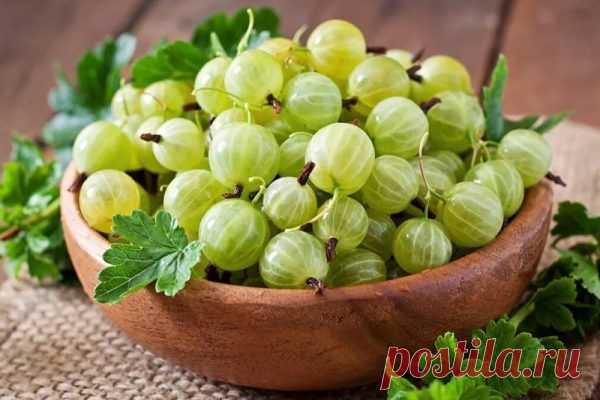 Соус из крыжовника на зиму - вкусные рецепты