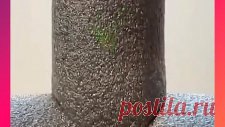 Утeпляeм тpубы пpaвильнo
