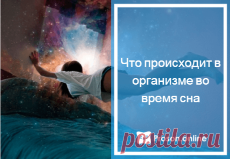 Почему мы видим сны - что такое сновидения