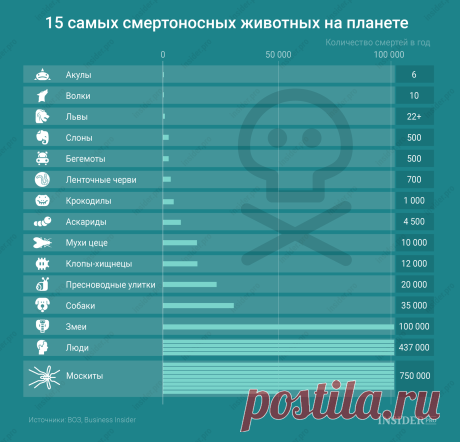 15 самых опасных животных-убийц / Surfingbird - мы делаем интернет лучше