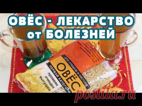 ОВЕС лечит Печень, Почки, Кашель, снижает Холестерин, Чистит сосуды, кровь, укрепляет иммунитет !