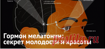 Гормон мелатонин: секрет молодости и красоты Ученые утверждают: именно мелатонин способен подарить человечеству 10-15 лет дополнительной качественной жизни. И вот почему.