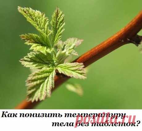 Здоровье. Красота. Секреты долголетия