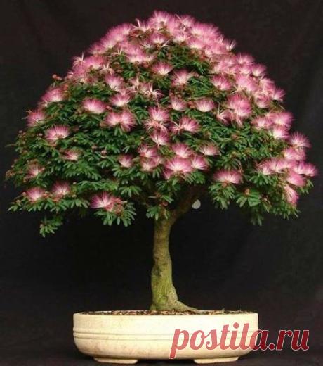 Интересные штуки