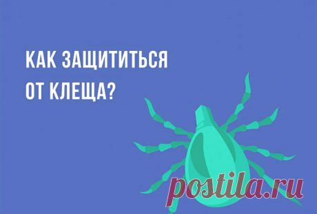 Что делать если укусил клещ: советы экспертов