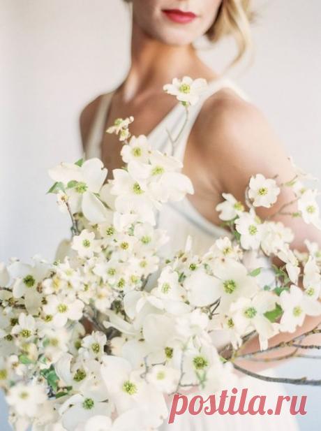 Белоснежный букет невесты - прекрасный выбор для весеннего образа 🌼