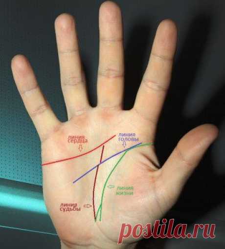 Умеете узнавать будущее по линиям и знакам на руках??
 ►►► https://fb.me/1PXzluTsQ ◄