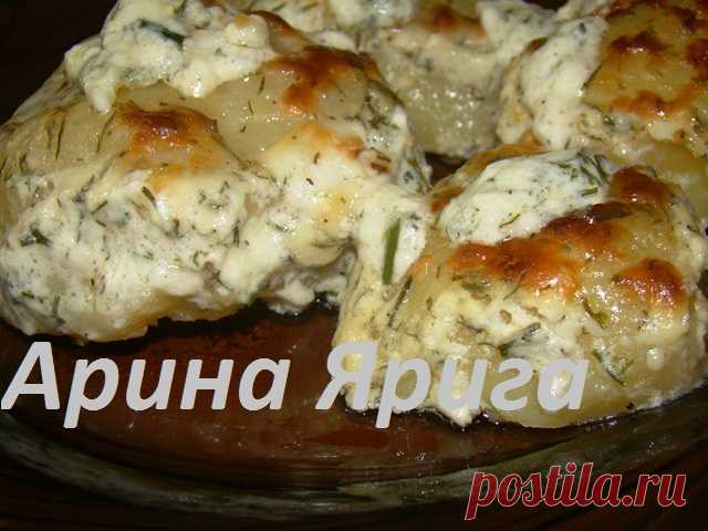 Картофель 