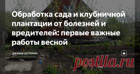 Обработка сада и клубничной плантации от болезней и вредителей: первые важные работы весной Добрый день, дорогие друзья, садоводы и огородники! Приветствую вас в нашем сообществе "Дачные истории". Весной с первым теплом в садах появляются и первые вредители. А так же активизируются многие болезни, которые перезимовали на опавшей листве, на коре деревьев, и на оставшихся на деревьях высохших плодах. И сейчас самое время обработать сады от болезней и время остановить вредите...