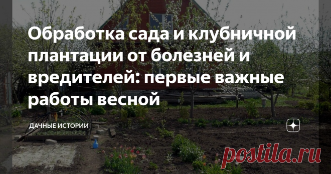 Обработка сада и клубничной плантации от болезней и вредителей: первые важные работы весной Добрый день, дорогие друзья, садоводы и огородники! Приветствую вас в нашем сообществе 