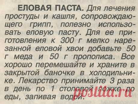 Еловая паста при простуде и кашле