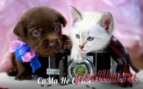 Людмила Заводникова