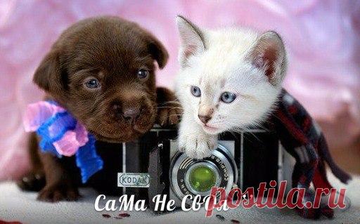 Людмила Заводникова