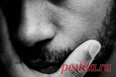 Ноздря, откройся! (или как ноздри определяют наше здоровье) | Mellow.Taste | Яндекс Дзен