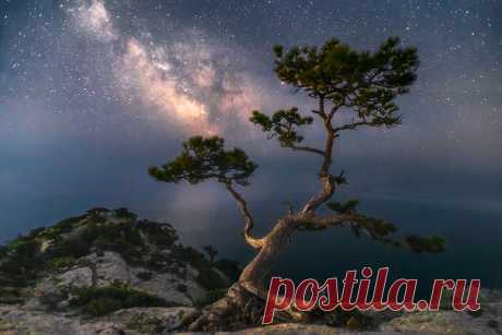 Пик Космос. Фотограф Столыпин Юрий