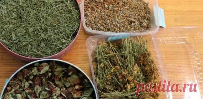 Печень у сына больше не болела: удивительный рецепт! | Dusea.ru | Первый женский