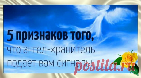 Ангелы нас оберегают и предупреждают. Научитесь это замечать