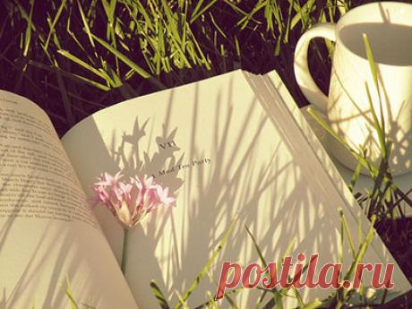 Лучшие книги для отдыха