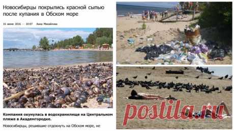 Купаться запрещено! Только в страшном сне можно оказаться на таких пляжах России (13 фото) | Чёрт побери Безусловно, на территории России множество живописных пляжей с чистейшей водой. Однако сегодня речь пойдет о тех местах, где, к сожалению, дела обстоят не так прекрасно. Сюда не зазывают туристов из красивых брошюр, потому что чистота этих мест оставляет желать лучшего. Не сами ли люди нередко приводят пляжи родных городов в такое состояние? С началом пляжного сезона! З...