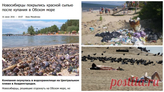 Купаться запрещено! Только в страшном сне можно оказаться на таких пляжах России (13 фото) | Чёрт побери Безусловно, на территории России множество живописных пляжей с чистейшей водой. Однако сегодня речь пойдет о тех местах, где, к сожалению, дела обстоят не так прекрасно. Сюда не зазывают туристов из красивых брошюр, потому что чистота этих мест оставляет желать лучшего. Не сами ли люди нередко приводят пляжи родных городов в такое состояние? С началом пляжного сезона! З...