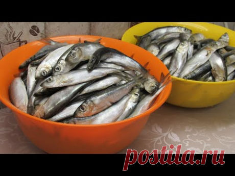 Уложила в Банки рыбу и получились Домашние РЫБНЫЕ КОНСЕРВЫ как в магазине