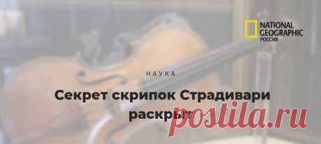 Американский биохимик потратил на разгадку десятилетия 🎻