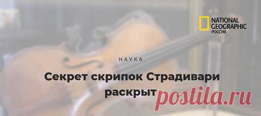 Американский биохимик потратил на разгадку десятилетия 🎻