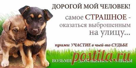 Анастасия-Александровна Разумовская-Волкова