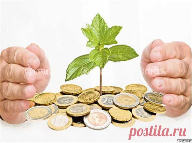 «За ручку» успеха не бывает

Анализируя огромное количество поступающих в мой адрес писем, данные опросов и личного общения, прихожу к выводу, что абсолютное большинство новичков желают, чтобы к успеху их привели буквально «за ручку». Взяли «за ручку» и повели… и привели! Как «лялю» в детском садике.

Соответственно, они вместо того, чтобы самостоятельно мыслить, проявлять инициативу, заниматься личностным развитием и ростом, разрабатывать и организовывать свои проекты,