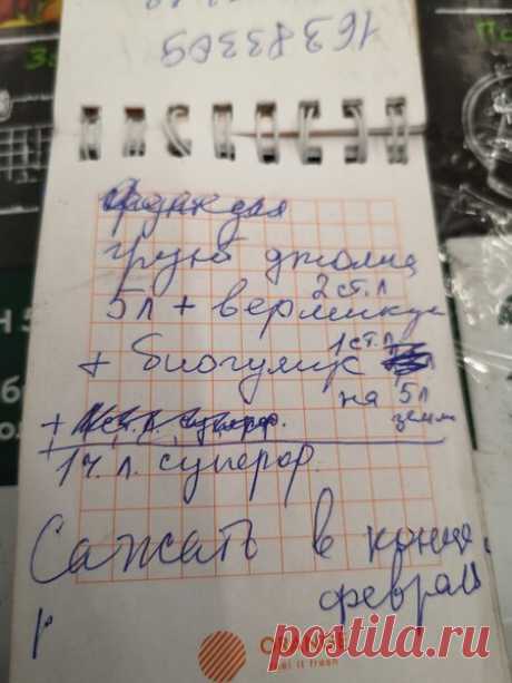 Земля для рассады по-науке.