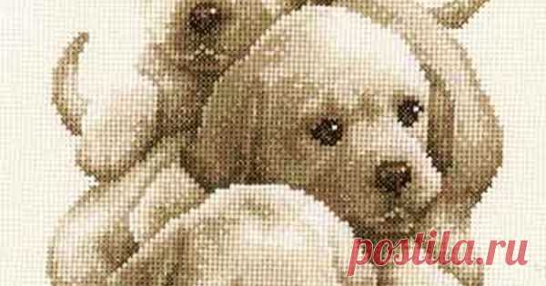 Labrador Puppies Cross Stitch Kit By Vervaco