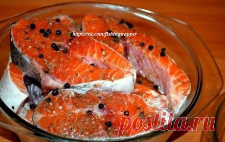 Солим рыбу вкусно! (разную рыбу) Рыбу, приготовленную таким способом, можно кушать уже через 2 часа. Но еще вкусней она... охота рыбалка дайвинг туризм снаряжение оружие снасти собаки - Мой Мир@Mail.ru Солим рыбу вкусно! (разную рыбу) Рыбу, приготовленную таким способом, можно кушать уже через 2 часа. Но еще вкусней она...  охота рыбалка дайвинг туризм снаряжение оружие снасти собаки в социальной сети Мой Мир