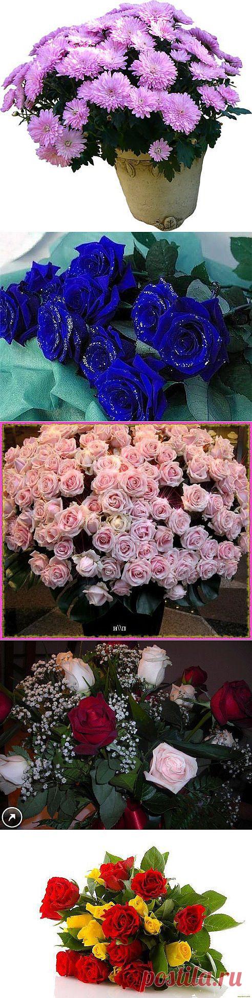 (45) Одноклассники