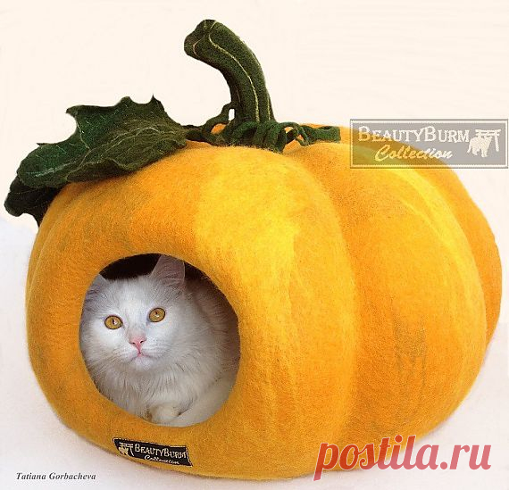 Войлочный домик для кошек "Тыковка" / Валяние. Работы пользователей. / PassionForum - мастер-классы по рукоделию